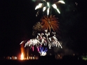 bild (15)